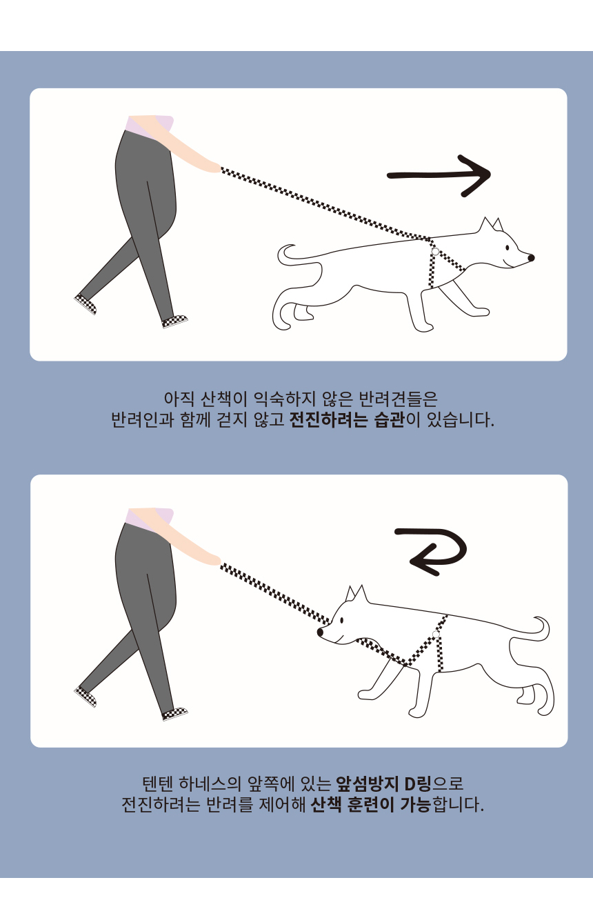 [무료배송] iLLO 텐텐 하네스 옐로우 L형 S-L 6번째