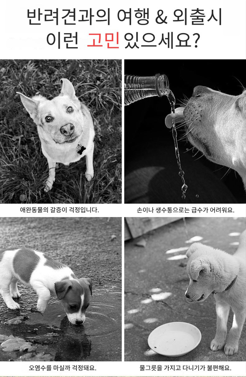 [무료배송] 보드미펫 휴대용 물병 베이지/그린/옐로우 2번째