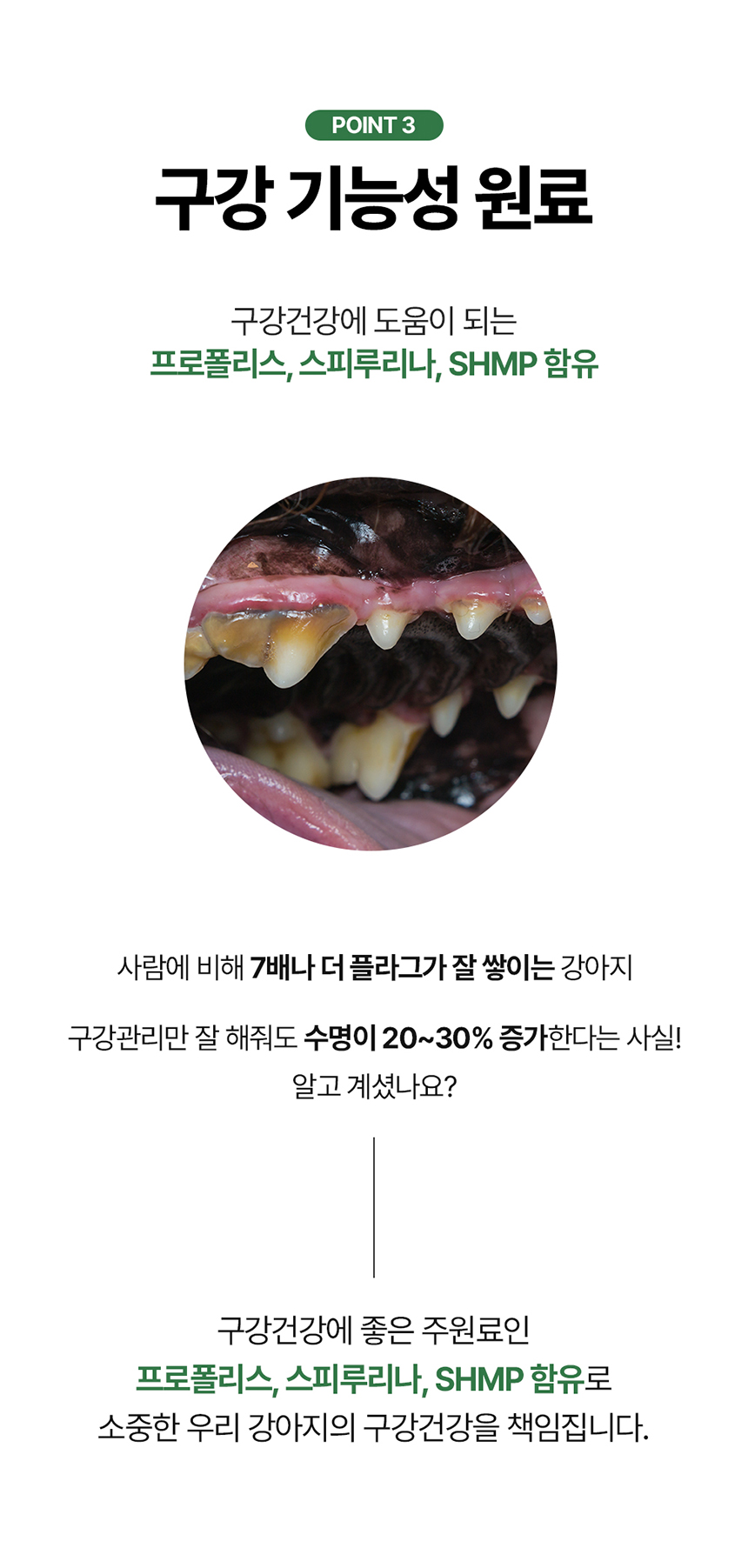 [무료배송] 닥터뉴트리코어 보스웰리아100 12번째