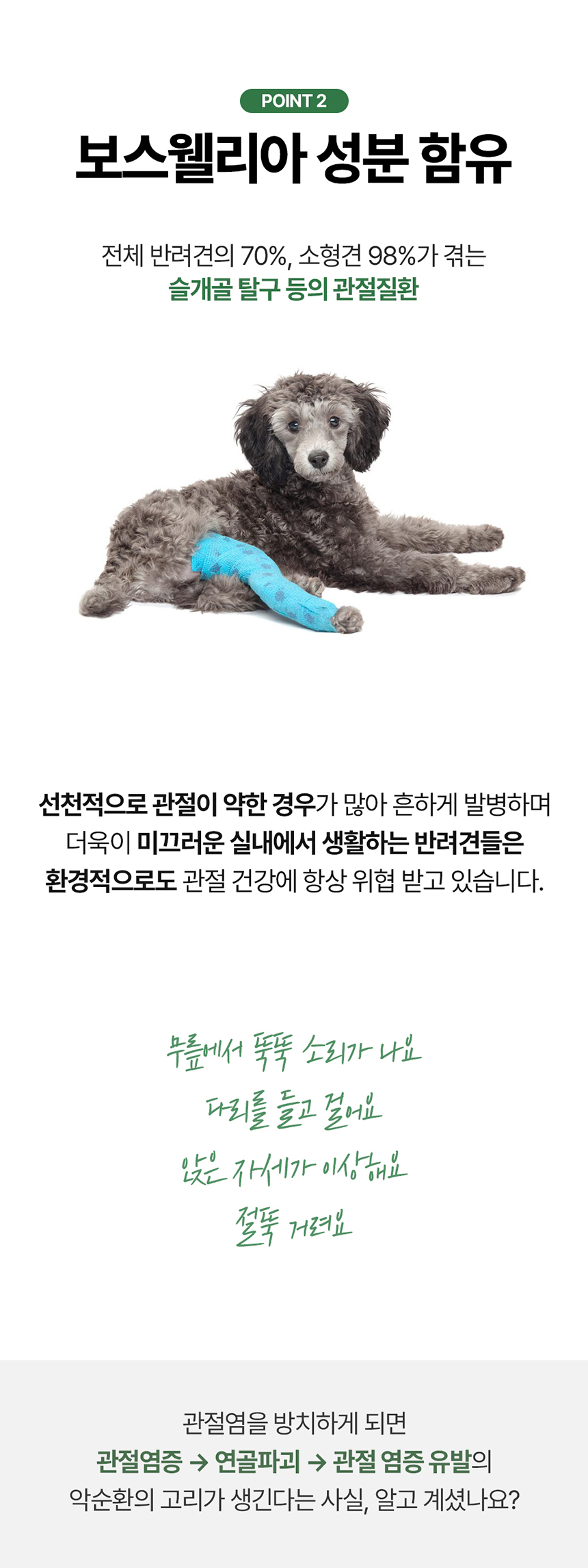 [무료배송] 닥터뉴트리코어 보스웰리아100 10번째
