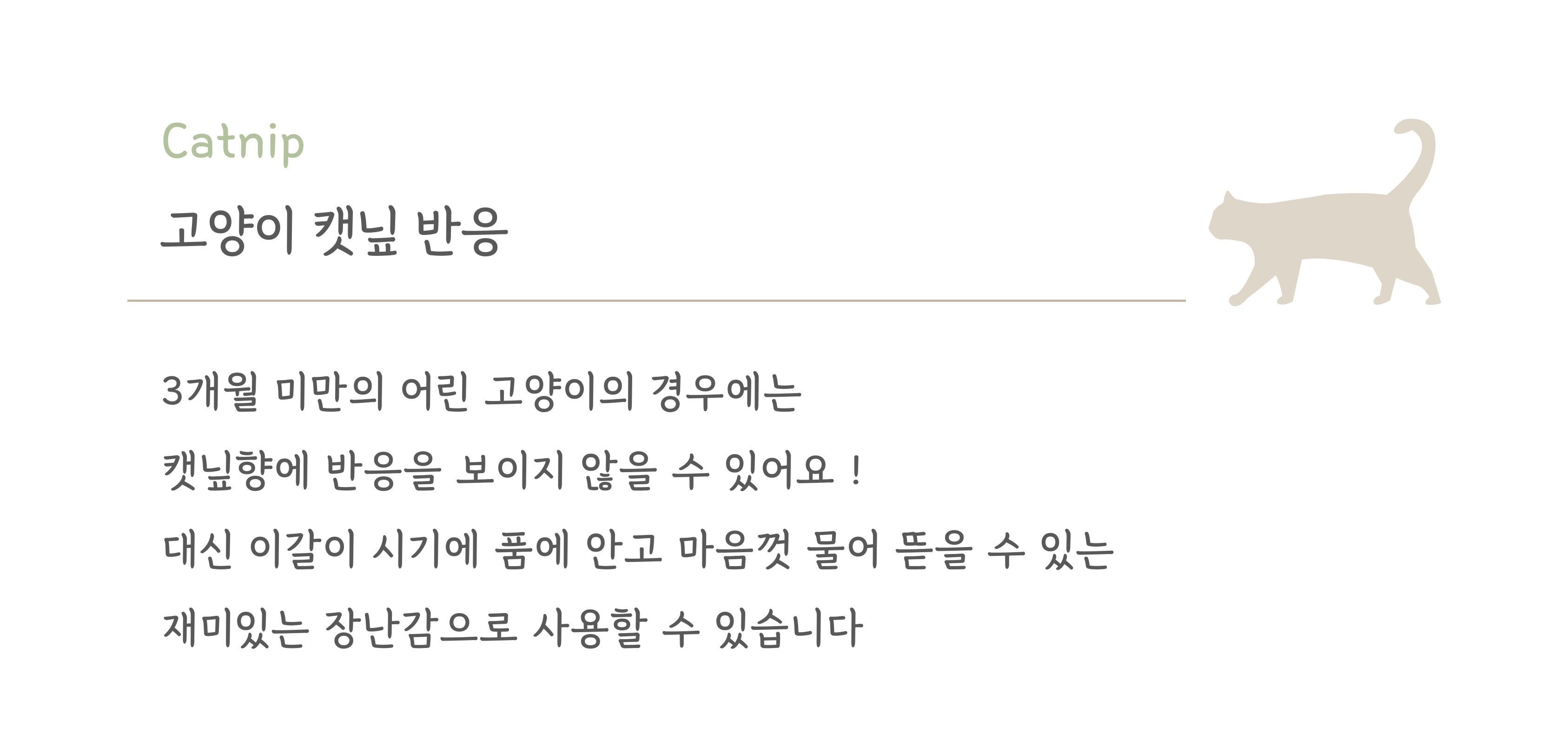 [무료배송] 다바리스튜디오 마크라메 캣닢쿠션 3번째