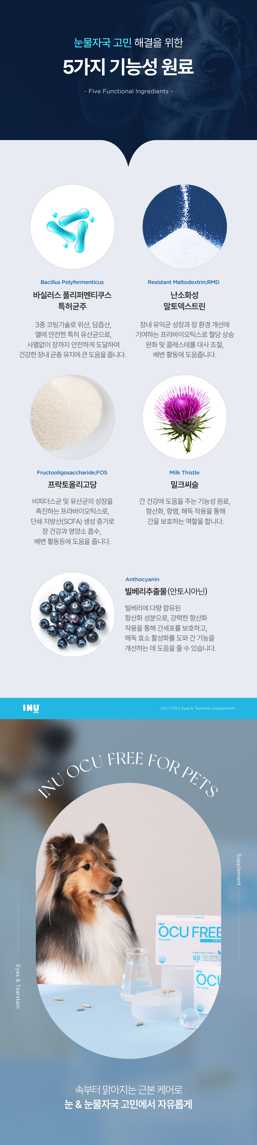 [NEW신상][무료배송] 아이누 오큐프리 60캡슐 7번째