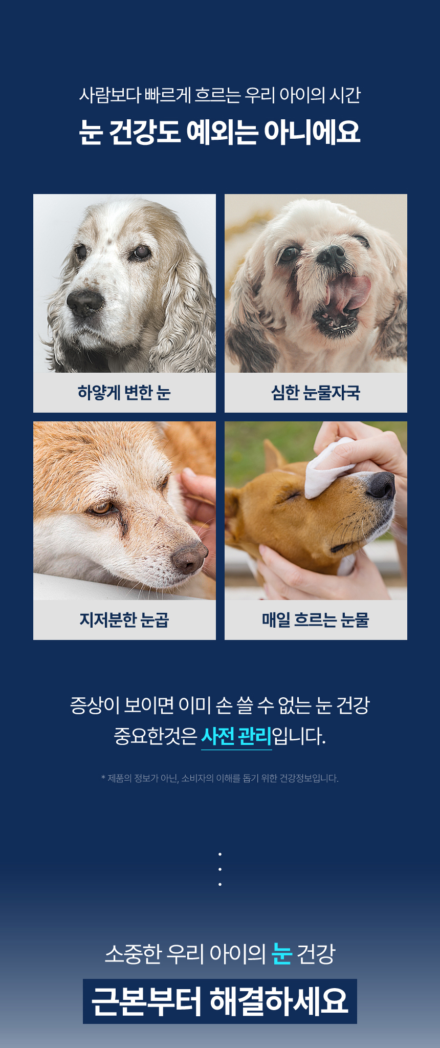 [NEW신상][무료배송] 아이누 오큐프리 60캡슐 4번째