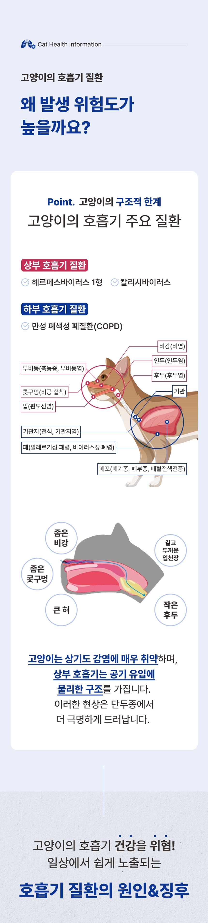 [무료배송] 브랜바인 캣 레스피라토리 가디언 호흡기 영양제 90일분 4번째