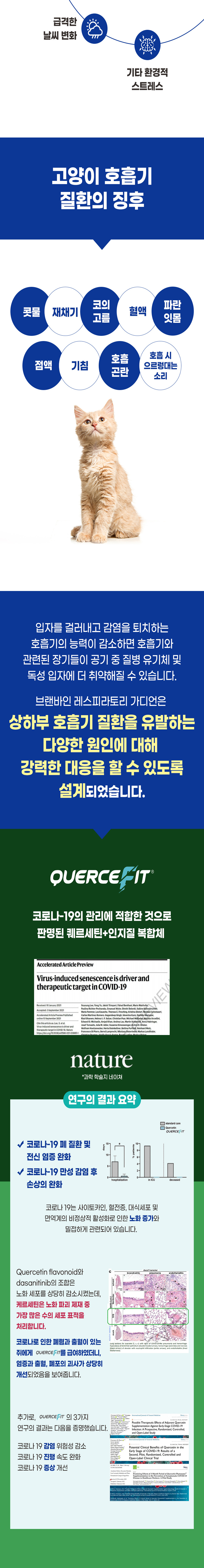 [무료배송] 브랜바인 캣 레스피라토리 가디언 호흡기 영양제 90일분 5번째