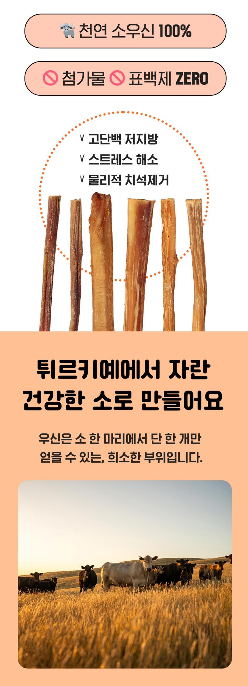 [NEW신상][무료배송] 오래오래프로젝트 오래먹는 롱블리츄 50~60cm 2번째