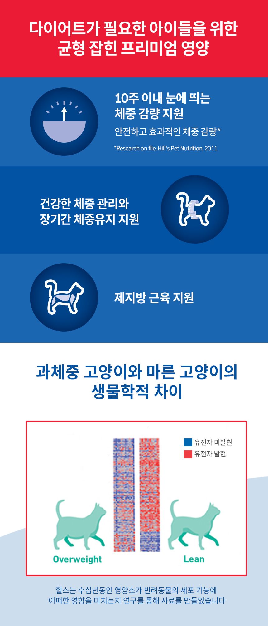 힐스 캣 어덜트 스튜 퍼펙트 웨이트 치킨&야채 82g 2번째