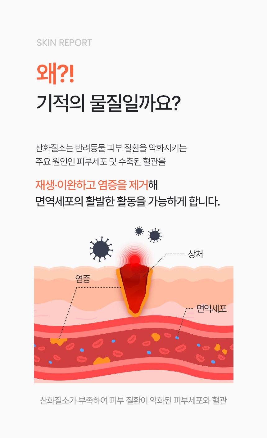 [NEW신상][무료배송] 큐어펫 엔오 수딩젤 200ml 7번째