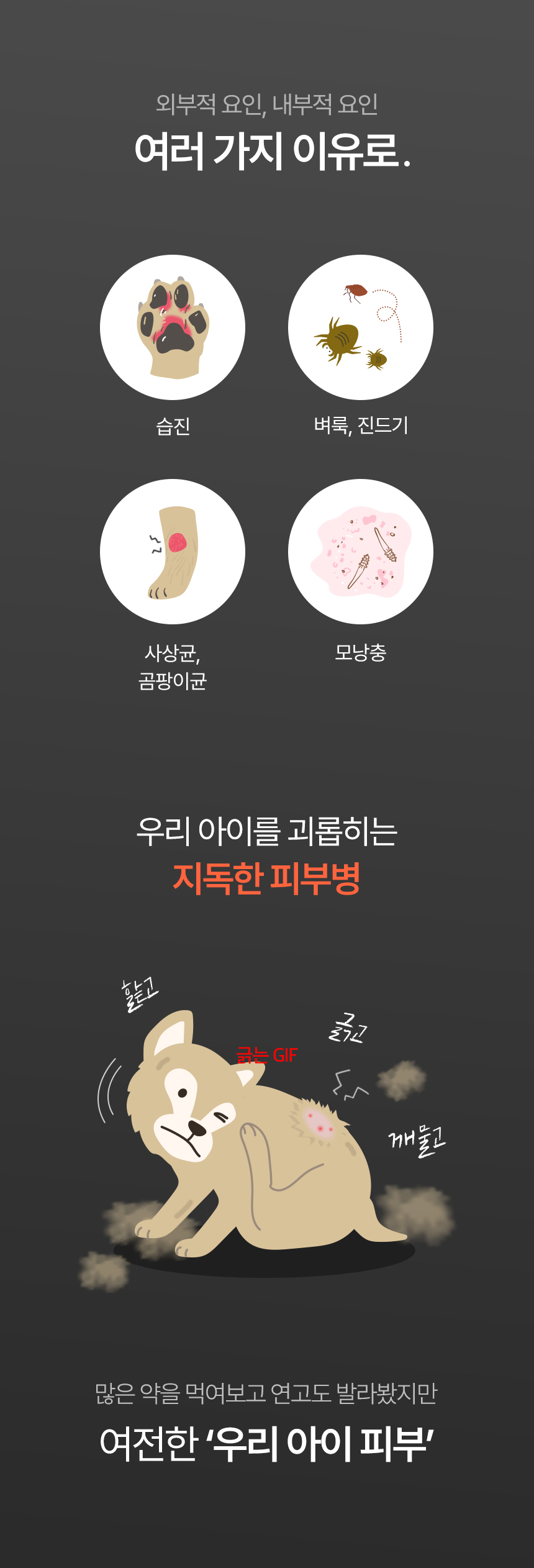 [NEW신상][무료배송] 큐어펫 엔오 수딩젤 200ml 3번째