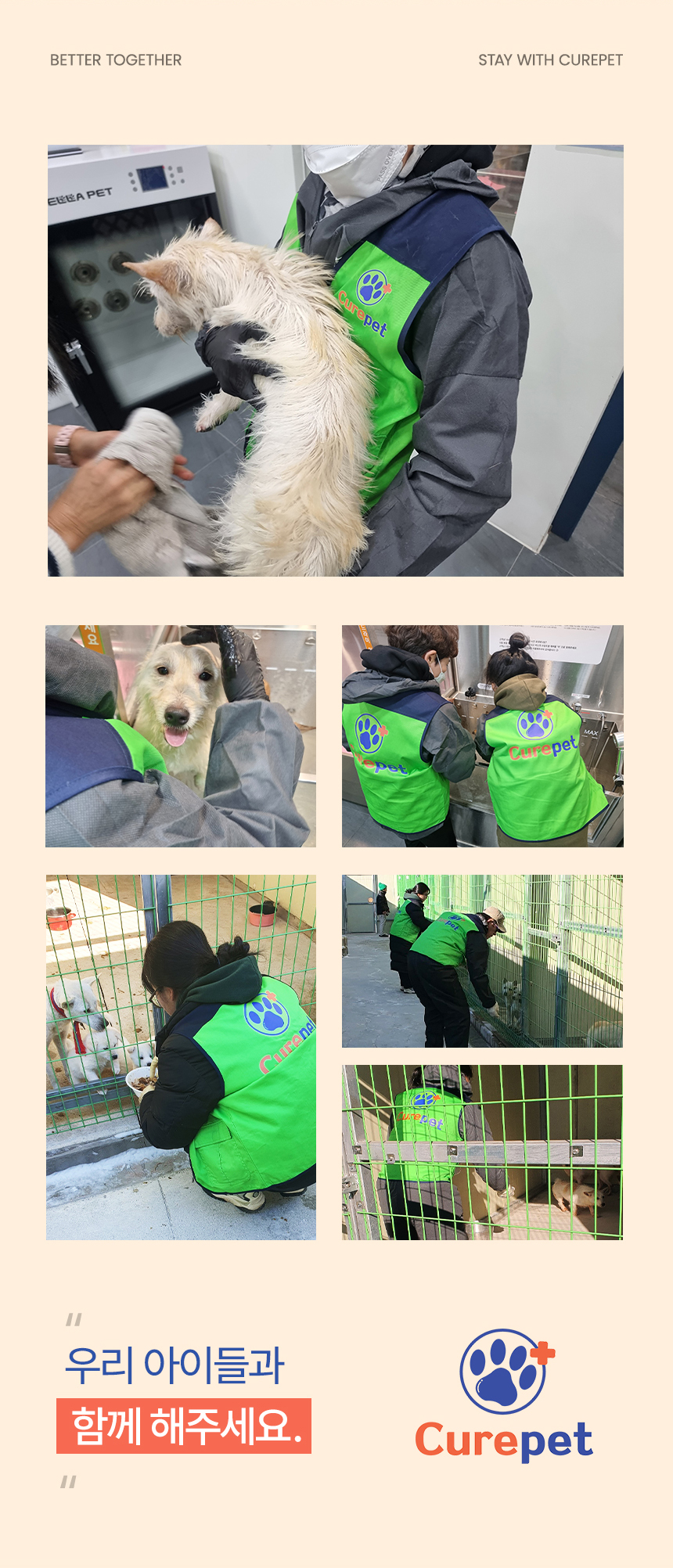[NEW신상][무료배송] 큐어펫 엔오 수딩젤 200ml 20번째