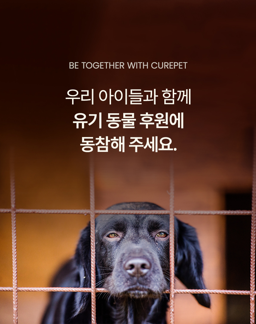 [NEW신상][무료배송] 큐어펫 엔오 수딩젤 200ml 19번째