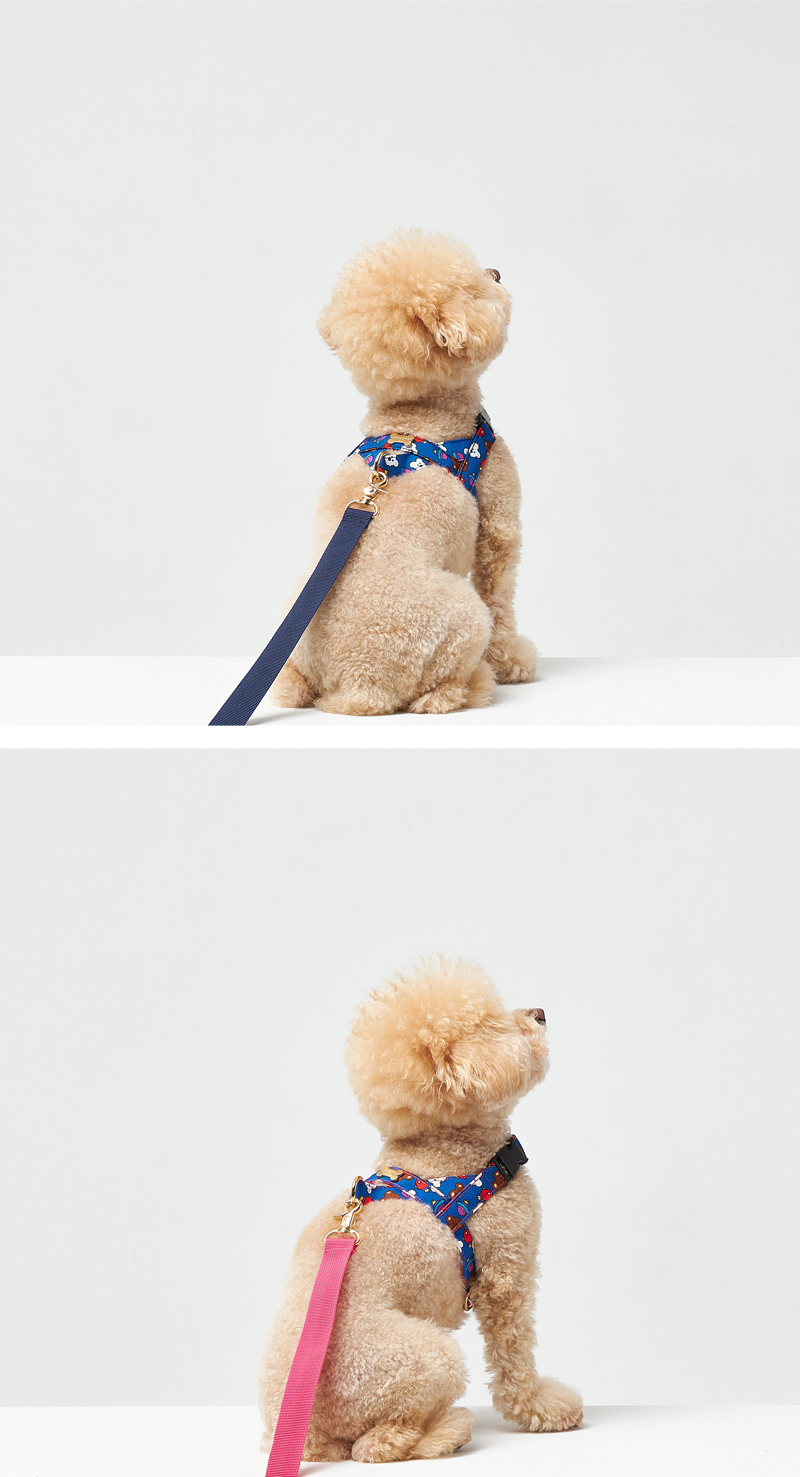 [NEW신상][무료배송] 노라독 우쥬 기본리드줄 소형견용 네이비/핑크 6번째