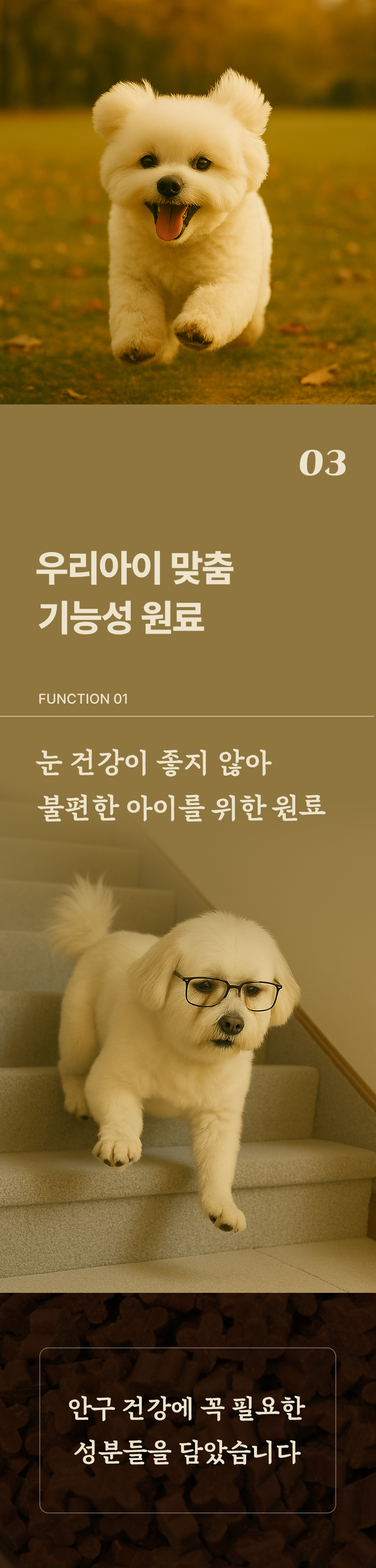 [무료배송] 데이스포 독 명품수제사료 자연식단 1kg 13번째