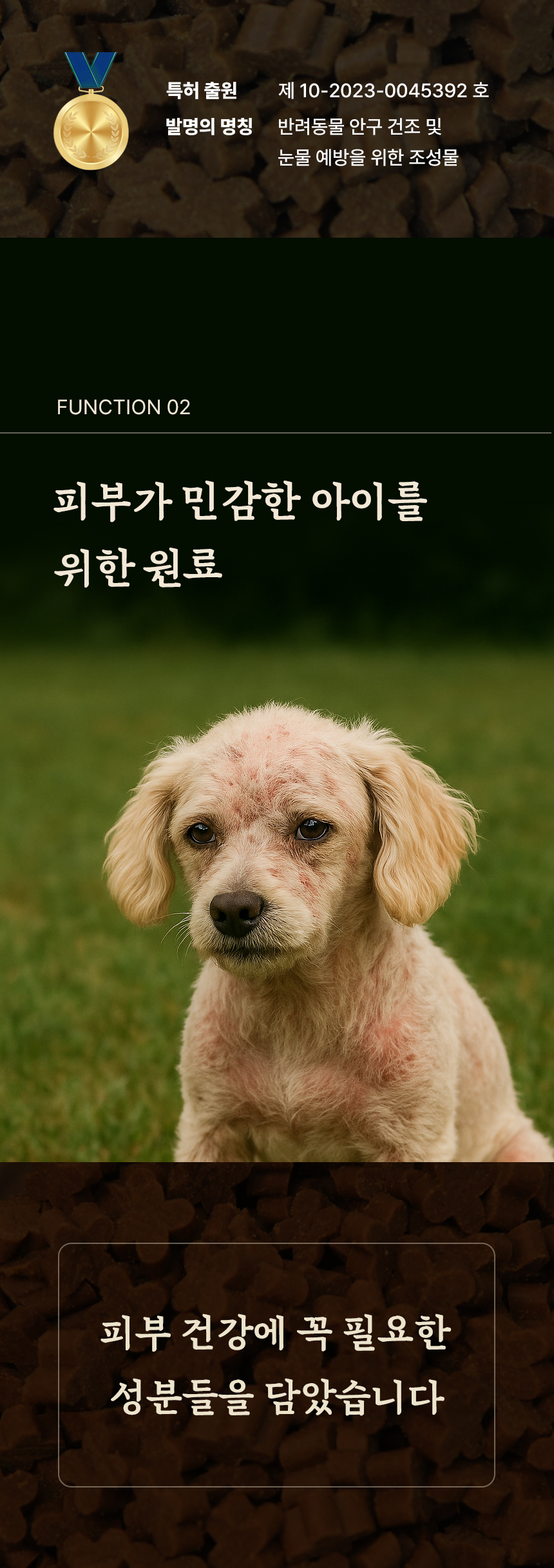 [무료배송] 데이스포 독 명품수제사료 자연식단 1kg 17번째