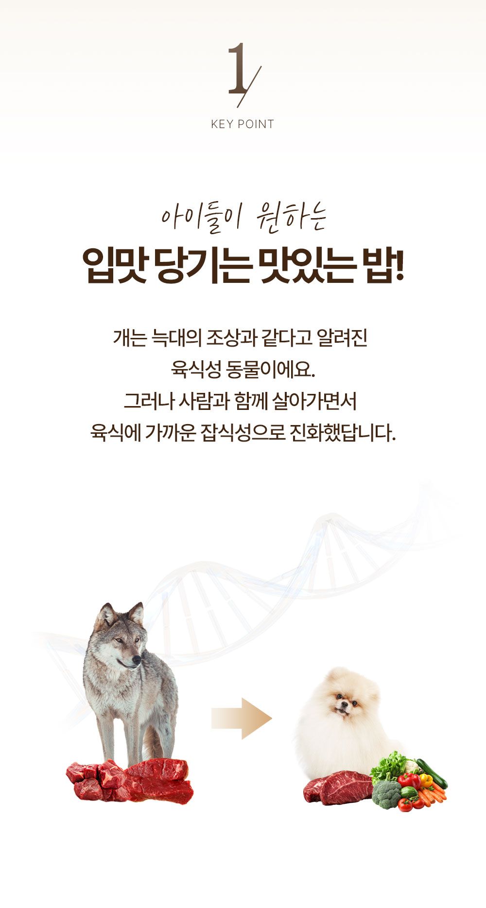 올바른끼니 독 플러스 오리&고구마 장건강 1.2kg 5번째