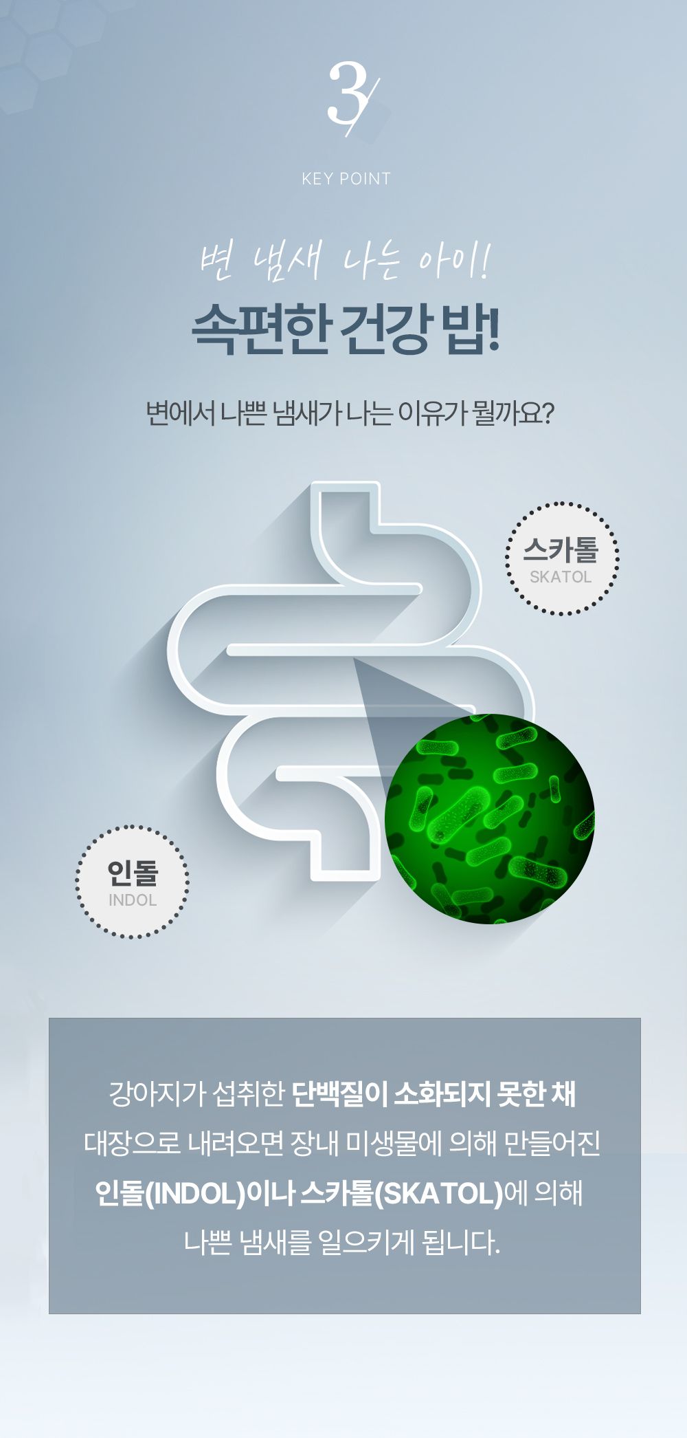 올바른끼니 독 플러스 오리&고구마 장건강 1.2kg 11번째