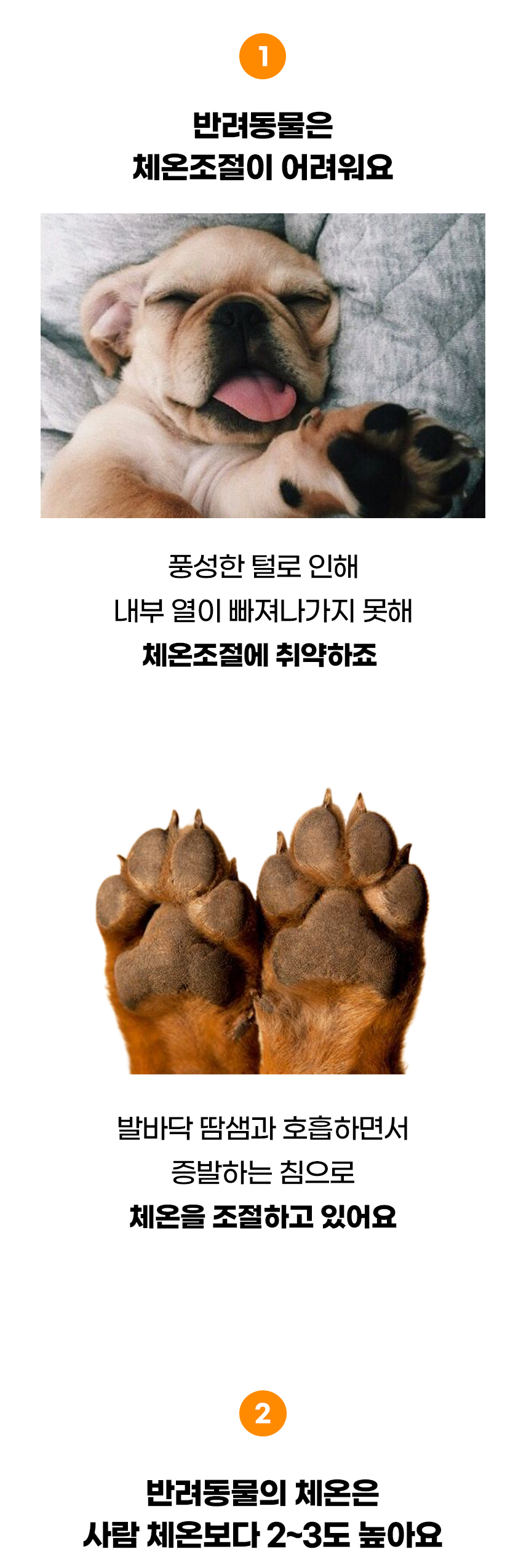 [NEW신상][무료배송] 개과천선 쉬즈 방석 (베이지/그레이) 6번째