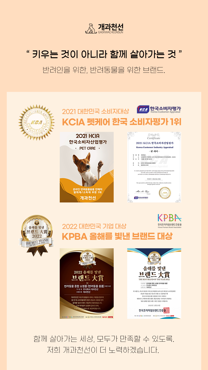 [NEW신상][무료배송] 개과천선 쉬즈 방석 (베이지/그레이) 3번째