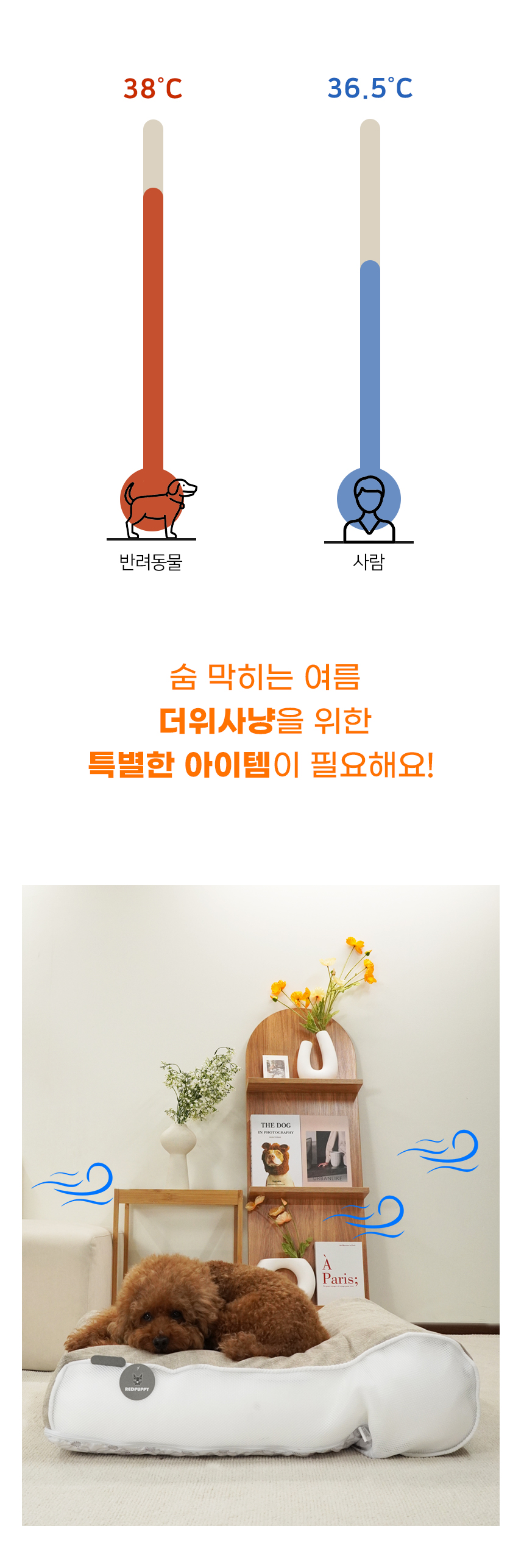 [NEW신상][무료배송] 개과천선 쉬즈 방석 (베이지/그레이) 7번째