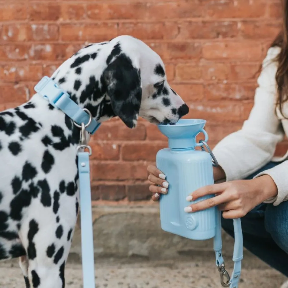 [무료배송] 스프링랜드 그라울러 트래블 보틀 1300ml (스카이블루/스프링어 그린)