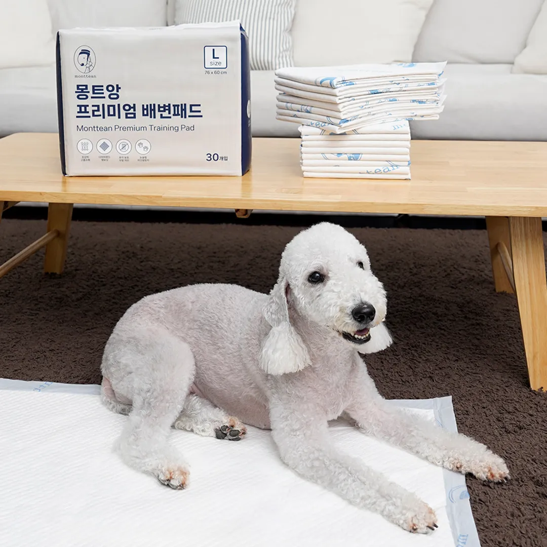 [NEW신상][무료배송] 몽트앙 독 프리미엄 논슬립 배변패드 (소형/대형)