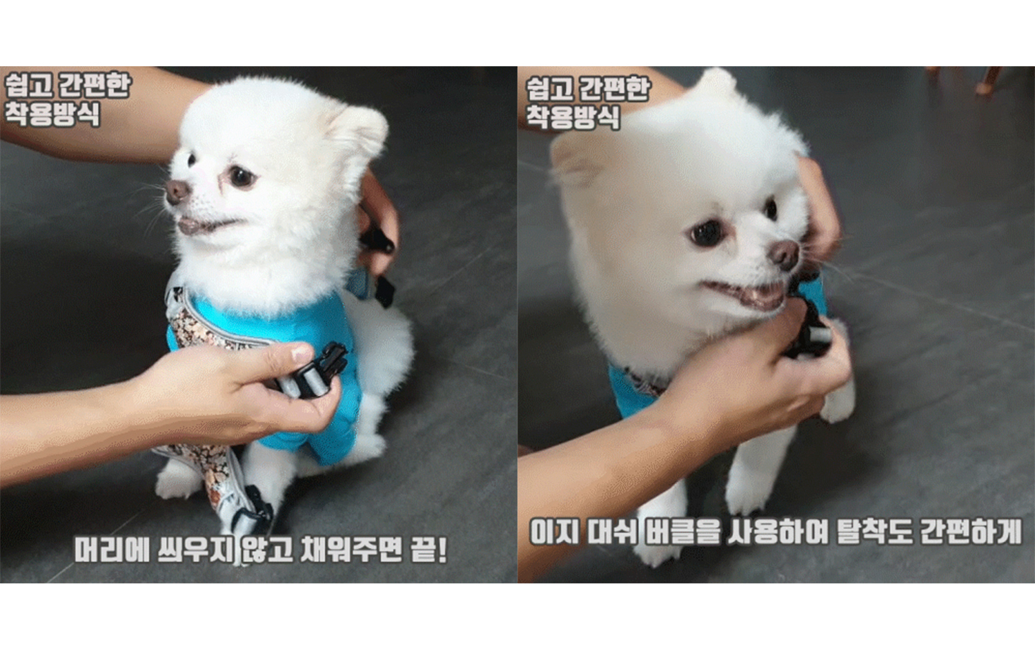 [무료배송] 니즈더펫 인터라켄 미니 패턴 하네스 XXS~S 18번째