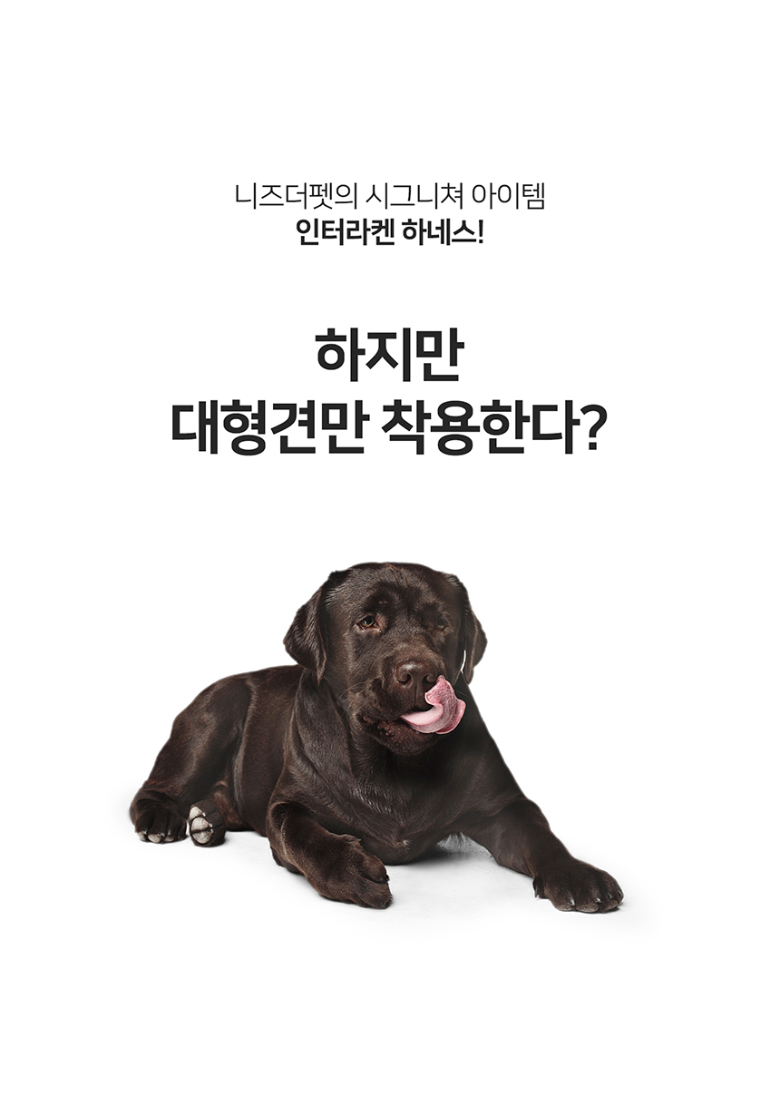 [무료배송] 니즈더펫 인터라켄 미니 패턴 하네스 XXS~S 4번째
