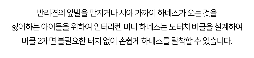 [무료배송] 니즈더펫 인터라켄 미니 패턴 하네스 XXS~S 17번째