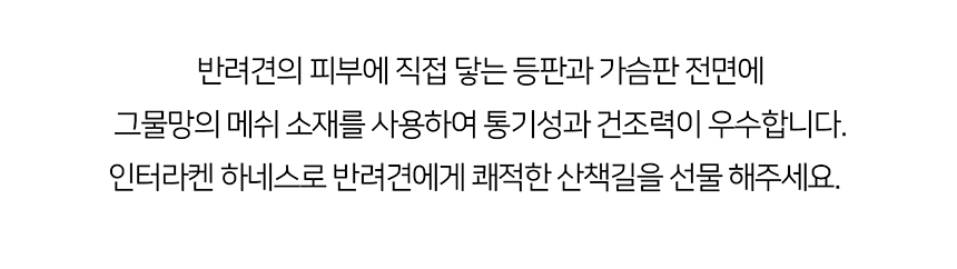 [무료배송] 니즈더펫 인터라켄 미니 패턴 하네스 XXS~S 13번째