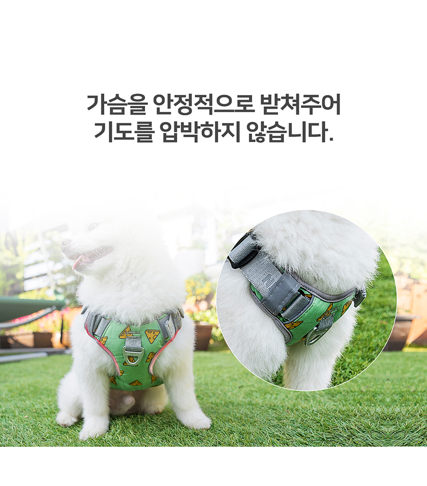 [무료배송] 니즈더펫 인터라켄 미니 패턴 하네스 XXS~S 11번째
