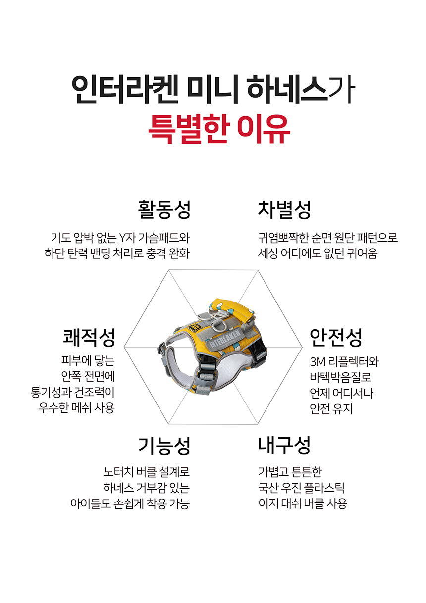 [무료배송] 니즈더펫 인터라켄 미니 패턴 하네스 XXS~S 2번째