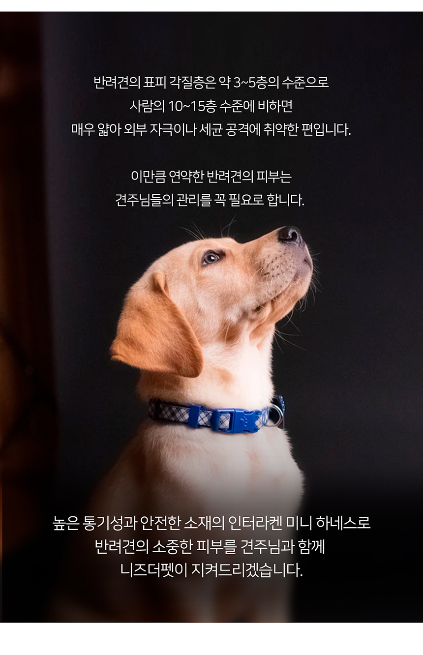 [무료배송] 니즈더펫 인터라켄 미니 패턴 하네스 XXS~S 15번째