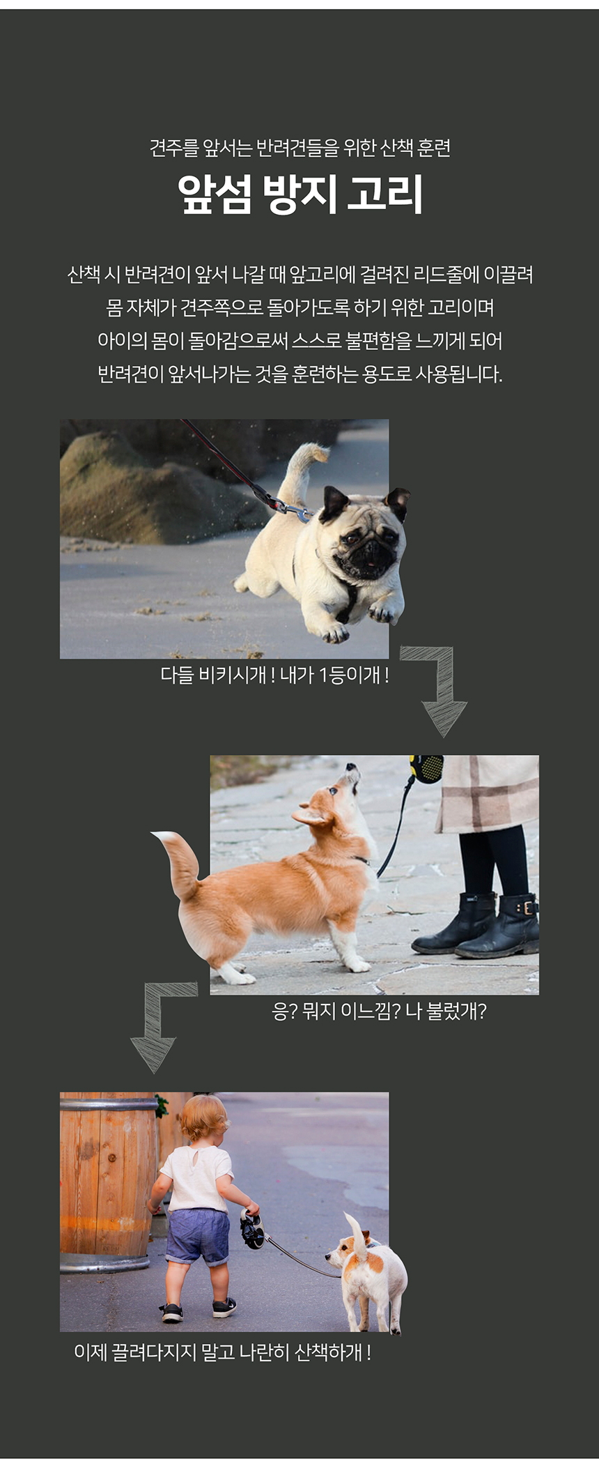 [무료배송] 니즈더펫 인터라켄 미니 패턴 하네스 XXS~S 24번째