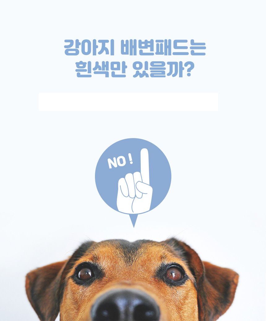 [무료배송] 에코펫위드 냄새잡는 참숯성분 에코패드 중대형 21매 (90x60cm) 6번째