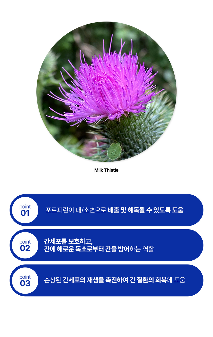 [무료배송] [체험팩] 라이프펫 강아지 영양제 아이즈 미니 20g 21번째