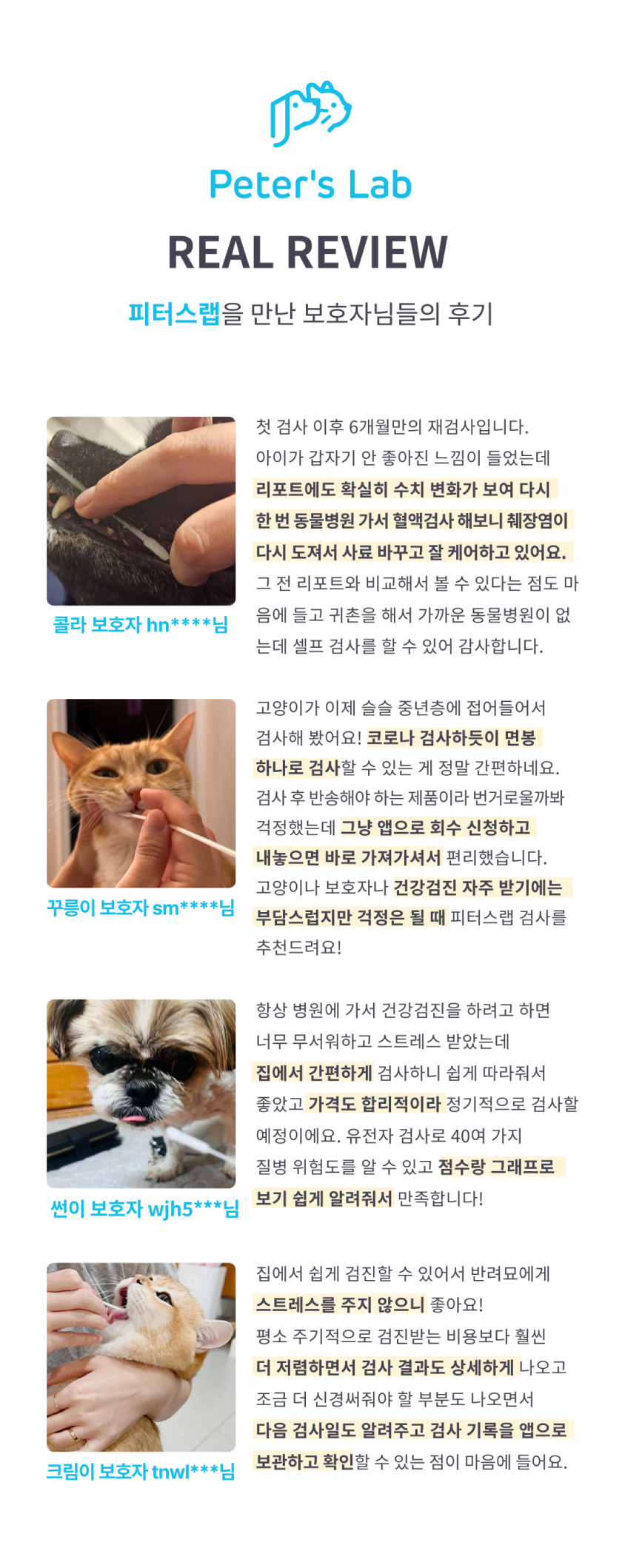 [무료배송] 피터스랩 캣 유전자분석 질병예측 PCR 구강검사 19번째
