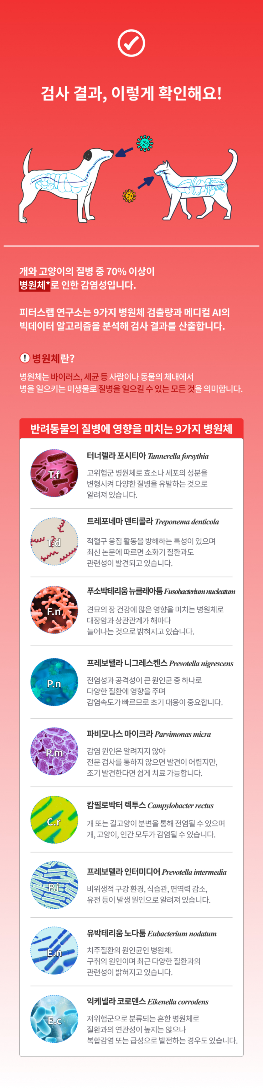 [무료배송] 피터스랩 캣 유전자분석 질병예측 PCR 구강검사 10번째