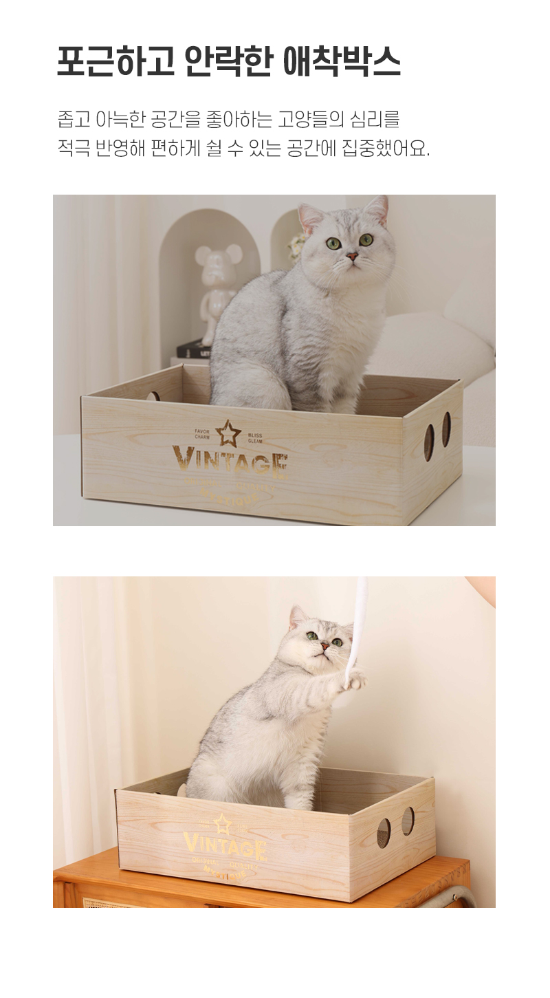 [NEW신상][무료배송][2개]텔리 냥이 찰떡박스 12번째
