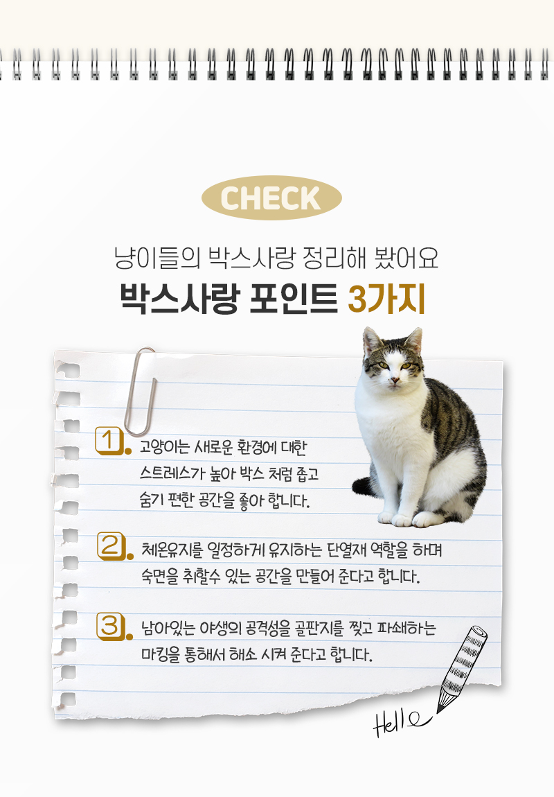 [NEW신상][무료배송][2개]텔리 냥이 찰떡박스 7번째