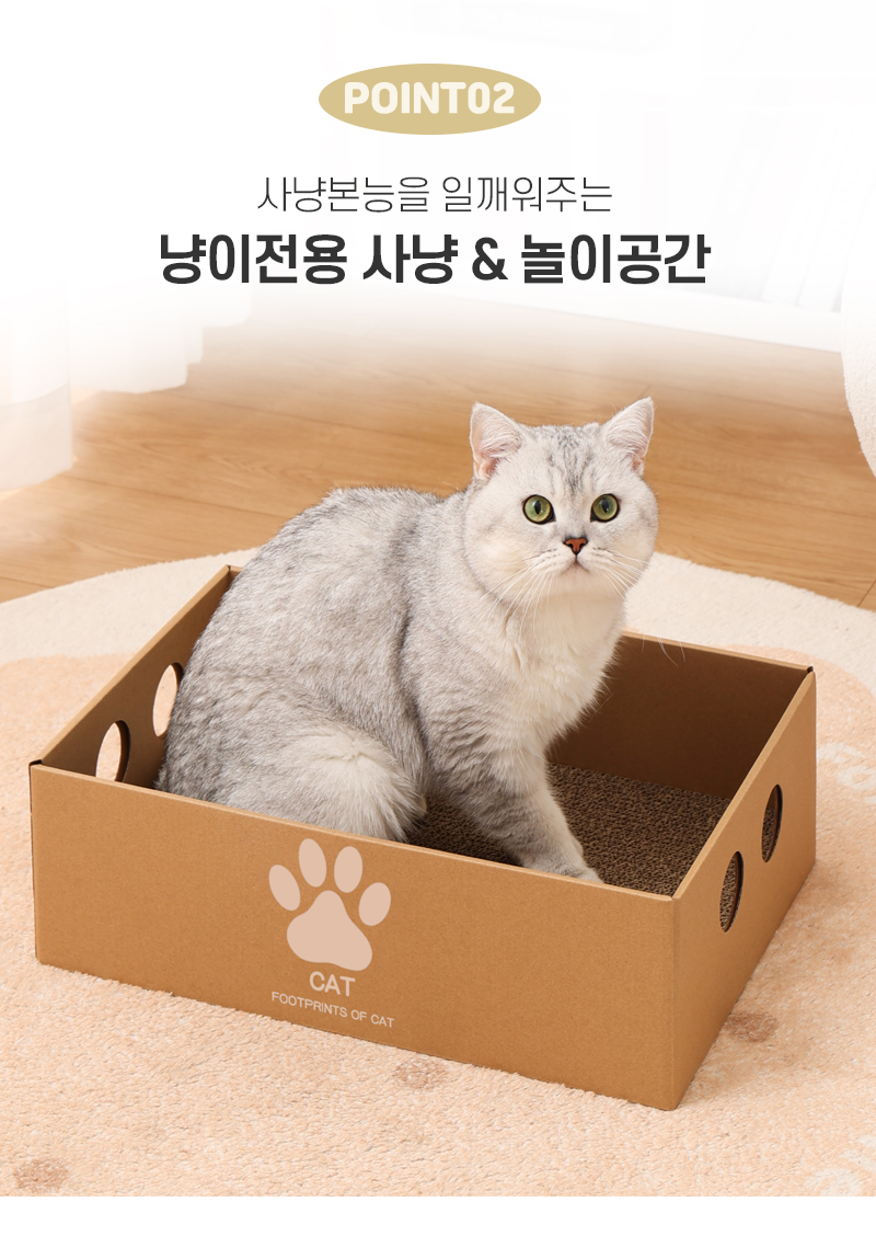 [NEW신상][무료배송][2개]텔리 냥이 찰떡박스 13번째
