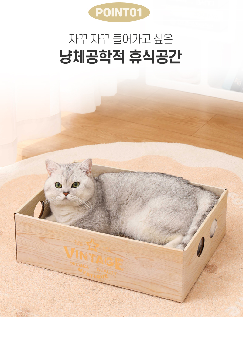 [NEW신상][무료배송][2개]텔리 냥이 찰떡박스 11번째