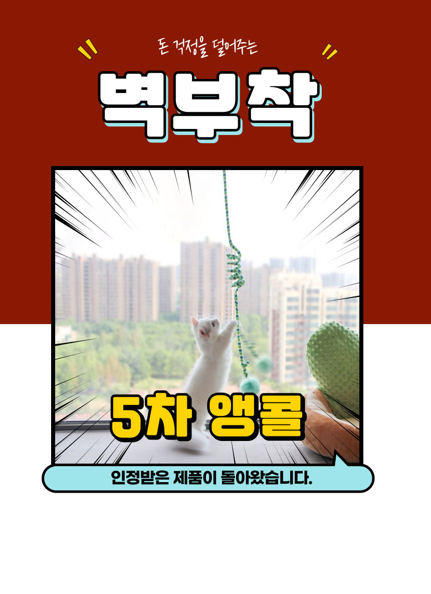 알뜰펫 고양이 벽부착 장난감 블루/옐로우/캐릭터A/캐릭터B 3번째