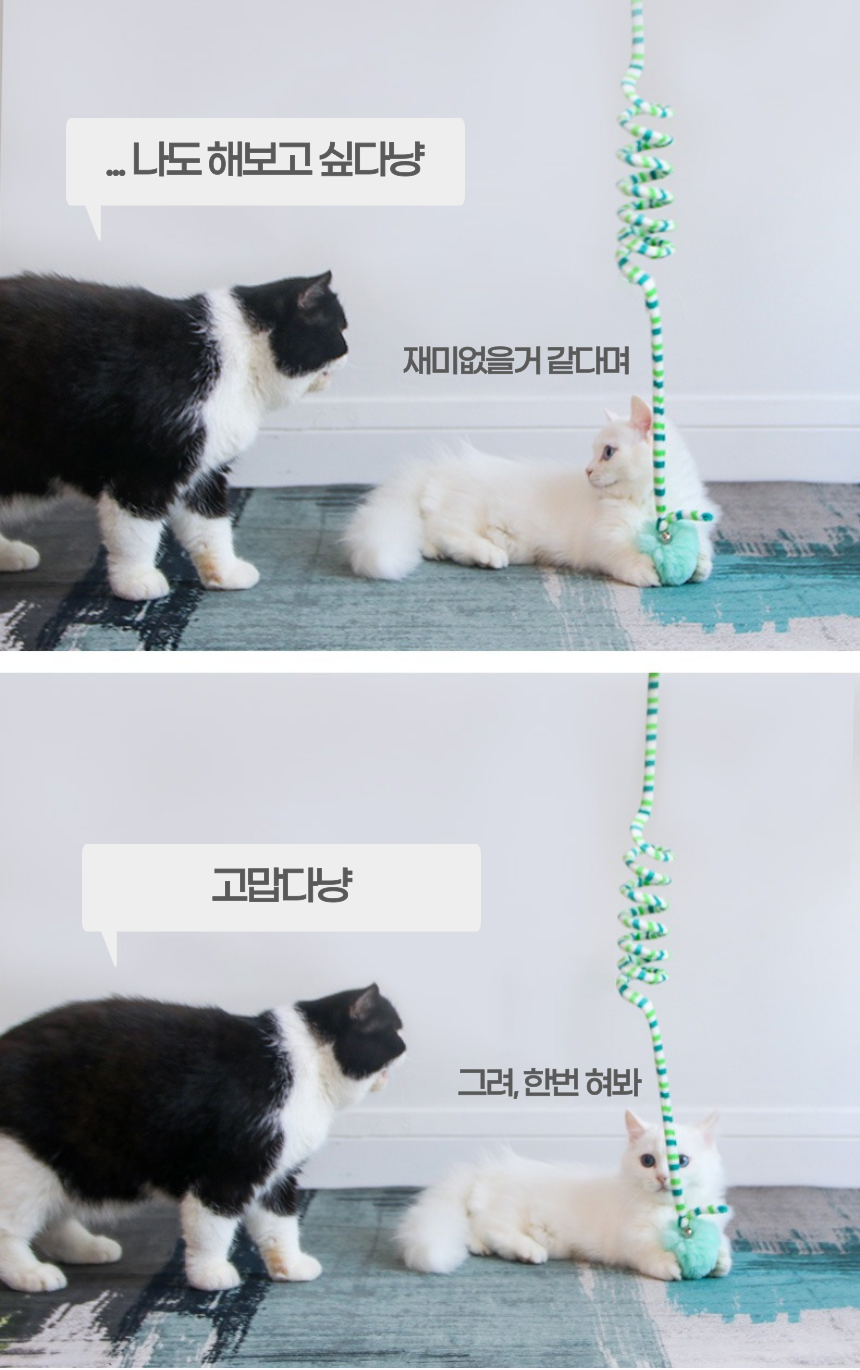 알뜰펫 고양이 벽부착 장난감 블루/옐로우/캐릭터A/캐릭터B 12번째