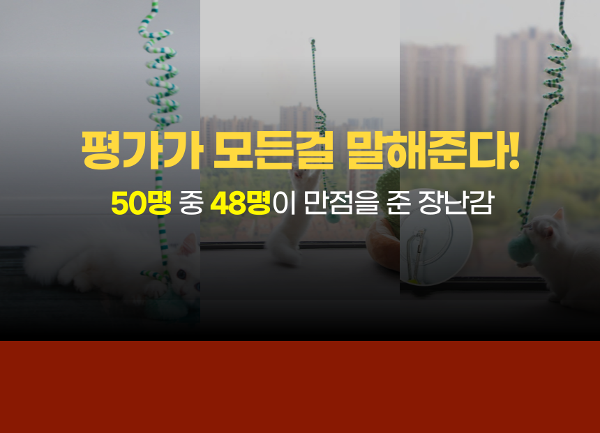 알뜰펫 고양이 벽부착 장난감 블루/옐로우/캐릭터A/캐릭터B 2번째