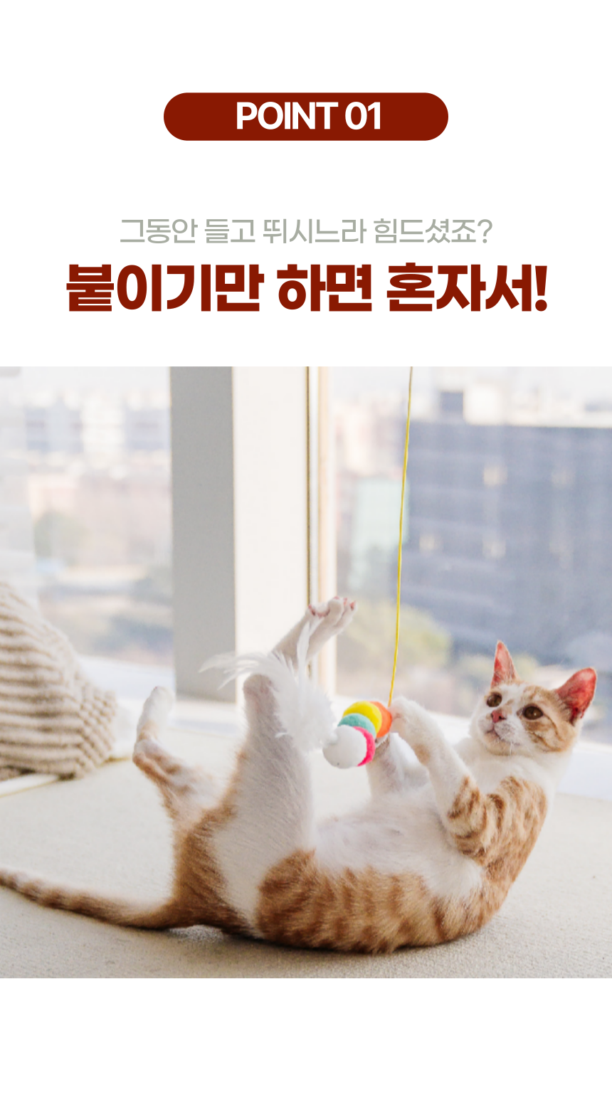 알뜰펫 고양이 벽부착 장난감 블루/옐로우/캐릭터A/캐릭터B 4번째
