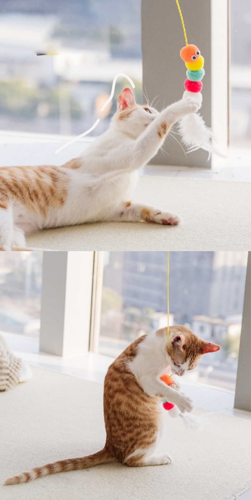 알뜰펫 고양이 벽부착 장난감 블루/옐로우/캐릭터A/캐릭터B 5번째