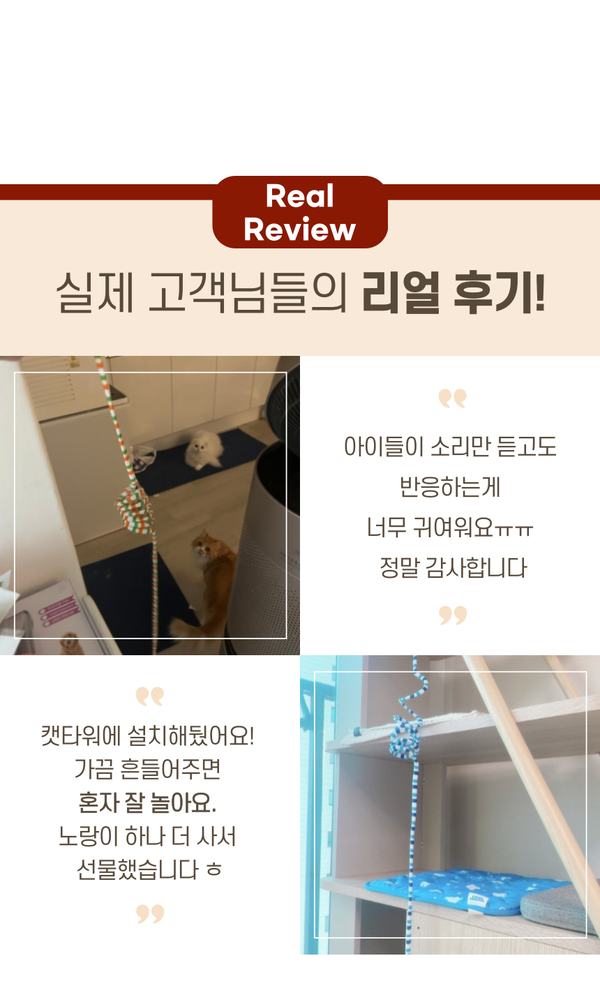 알뜰펫 고양이 벽부착 장난감 블루/옐로우/캐릭터A/캐릭터B 10번째