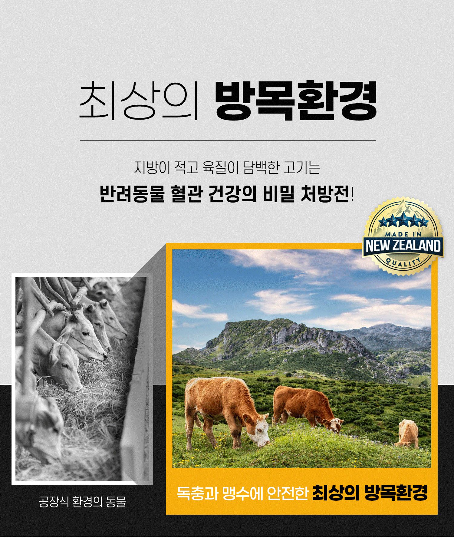 위시본 캣 홀리스틱 그레인프리 소고기 4.5kg 4번째