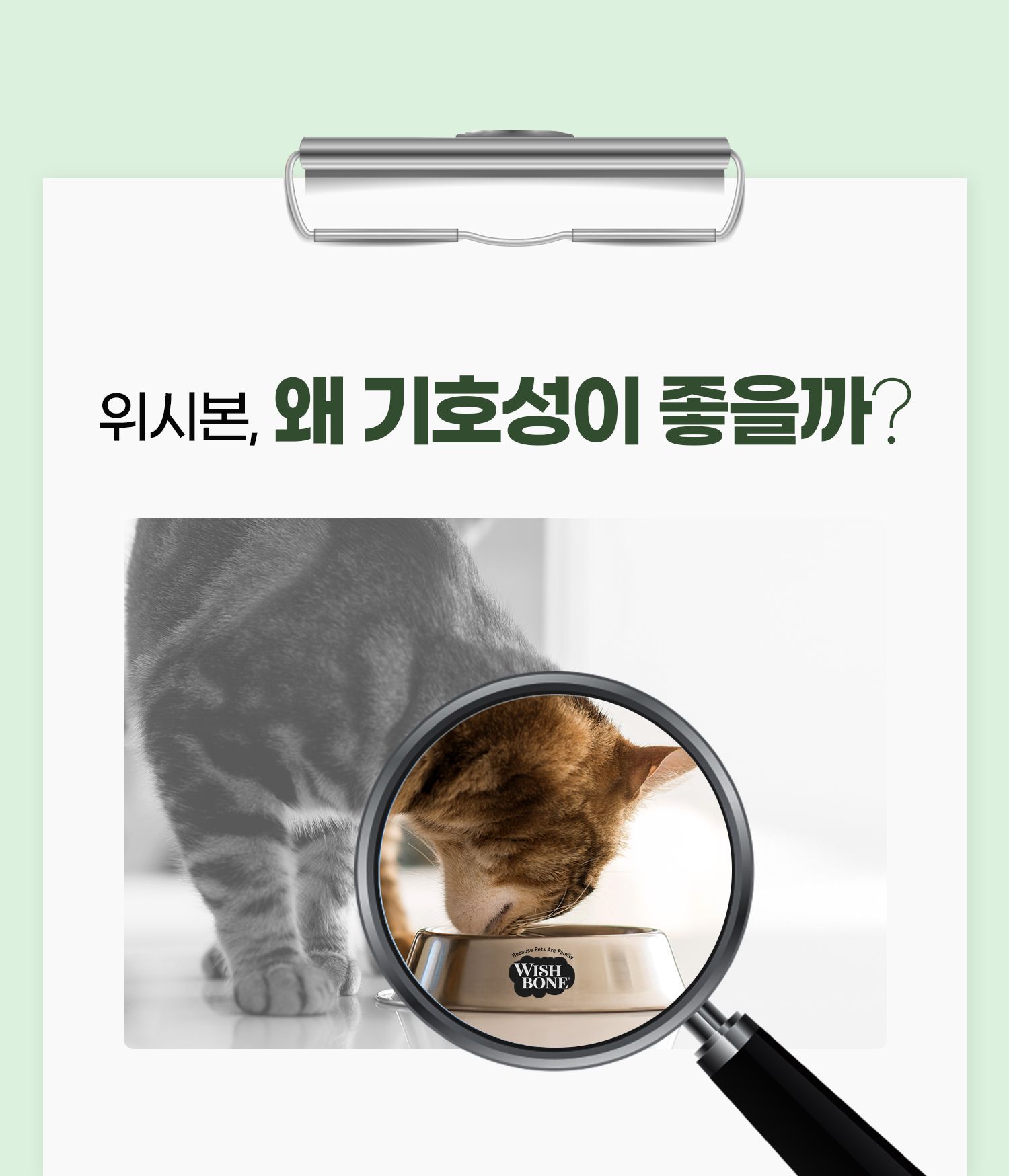 위시본 캣 홀리스틱 그레인프리 소고기 4.5kg 10번째