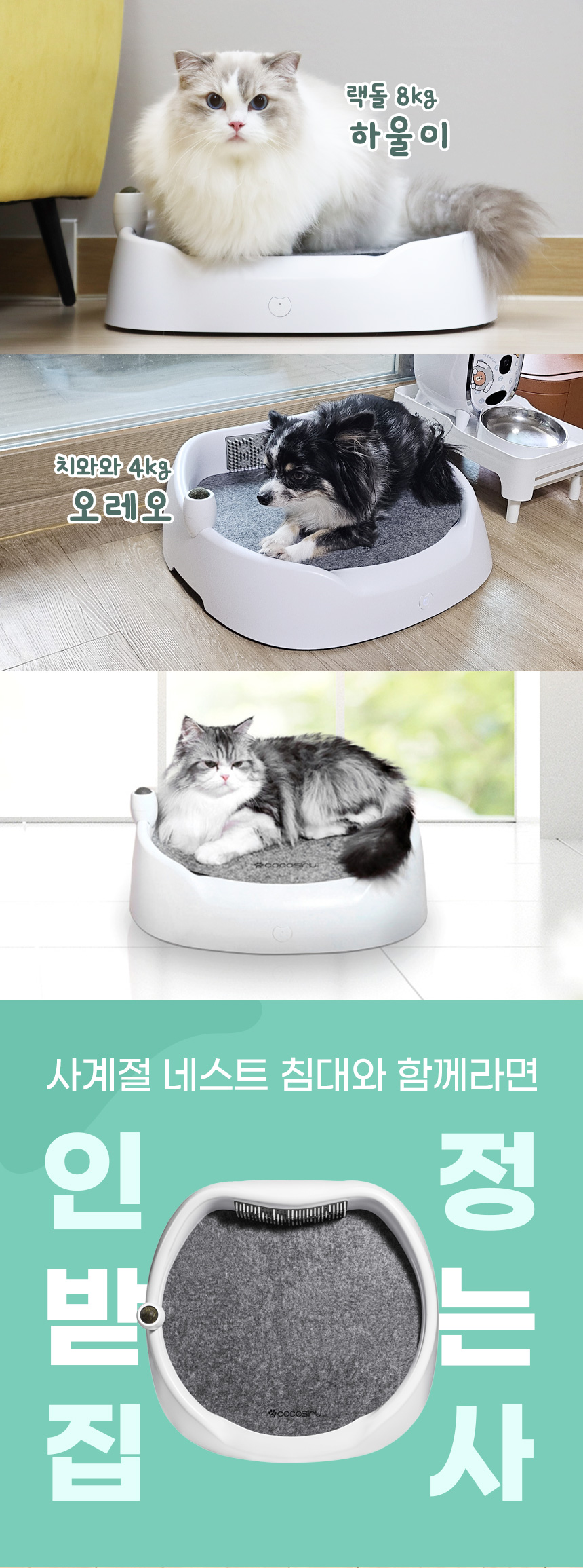 [무료배송] 코코시루 사계절 펫침대 강아지 고양이 냉난방매트 C1CN 5번째